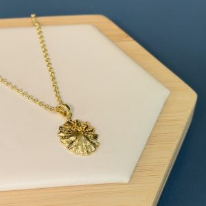 Limpet Shell Pendant and Chain - Gold