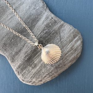 Seashell Pendant and Chain - Sterling Silver
